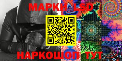 сатива Новозыбков
