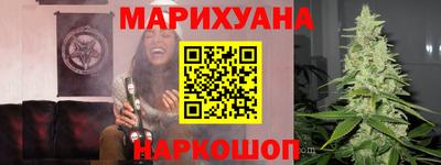 сатива Новозыбков