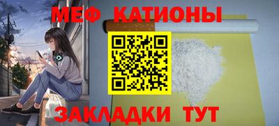 сатива Новозыбков