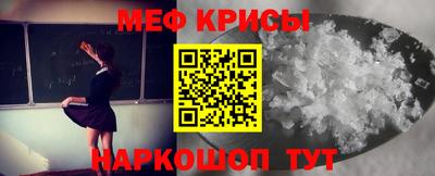 сатива Новозыбков