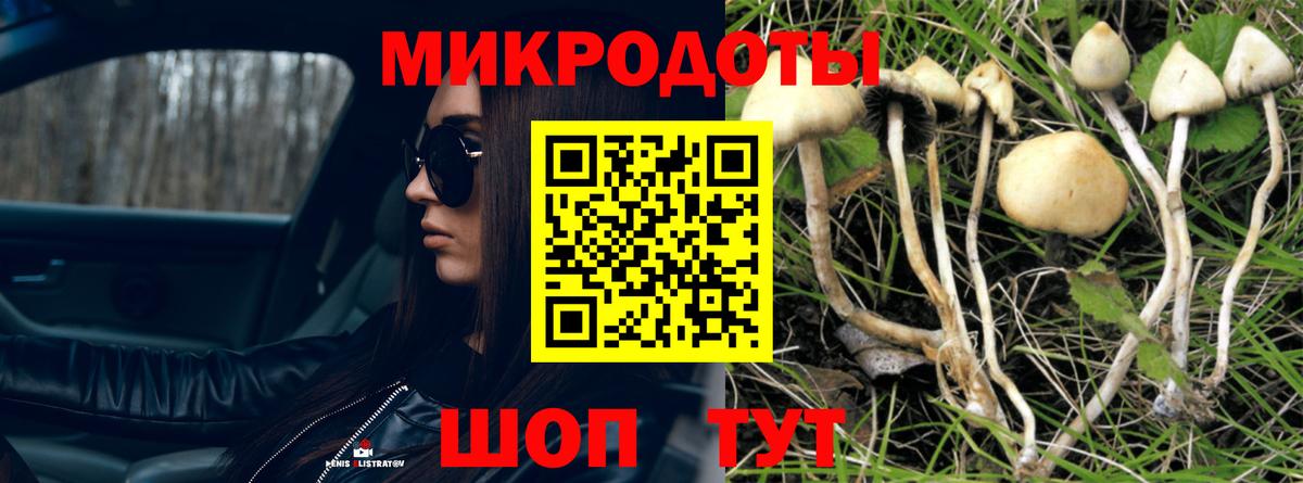 Псилоцибиновые грибы Psilocybe  Вход с VPN  Галлюциногенные грибы ЛСД  купить наркоту  Уварово 